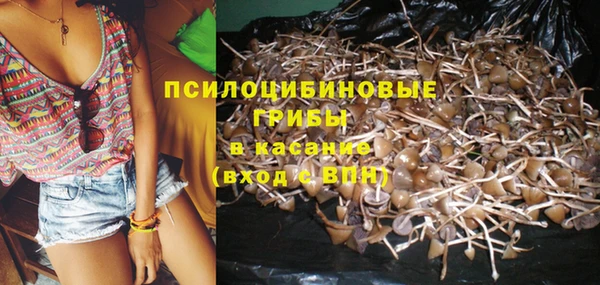 мяу мяу мука Алзамай