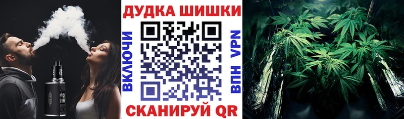 Бошки марихуана марихуана  что такое наркотик  Краснознаменск 